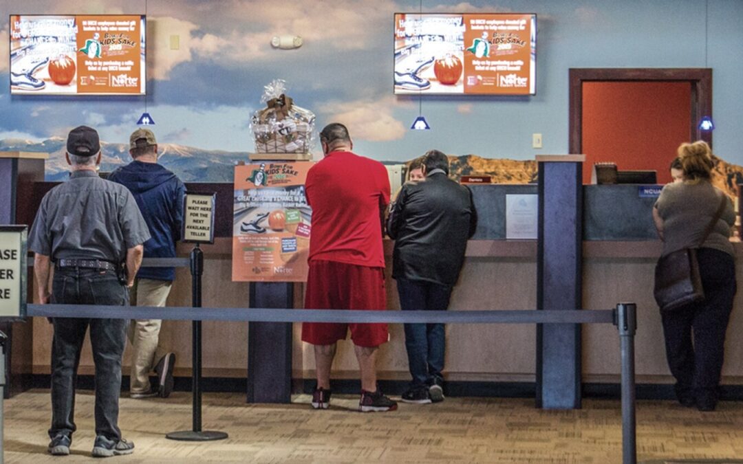 Banking on the Public