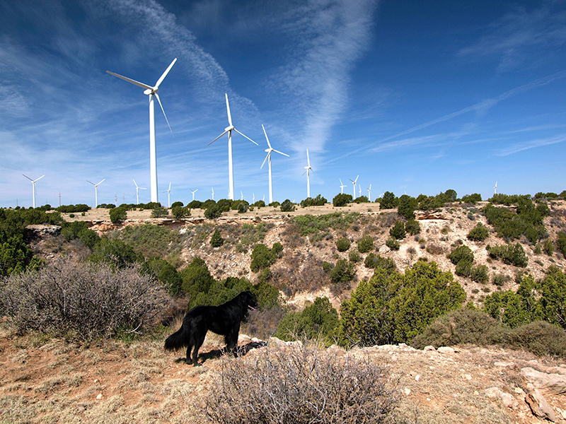 Is Meaningful Change Beginning to Unfold?