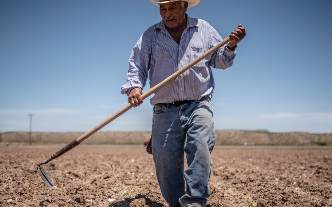 Report: Healthy soil, local food systems key for NM agriculture