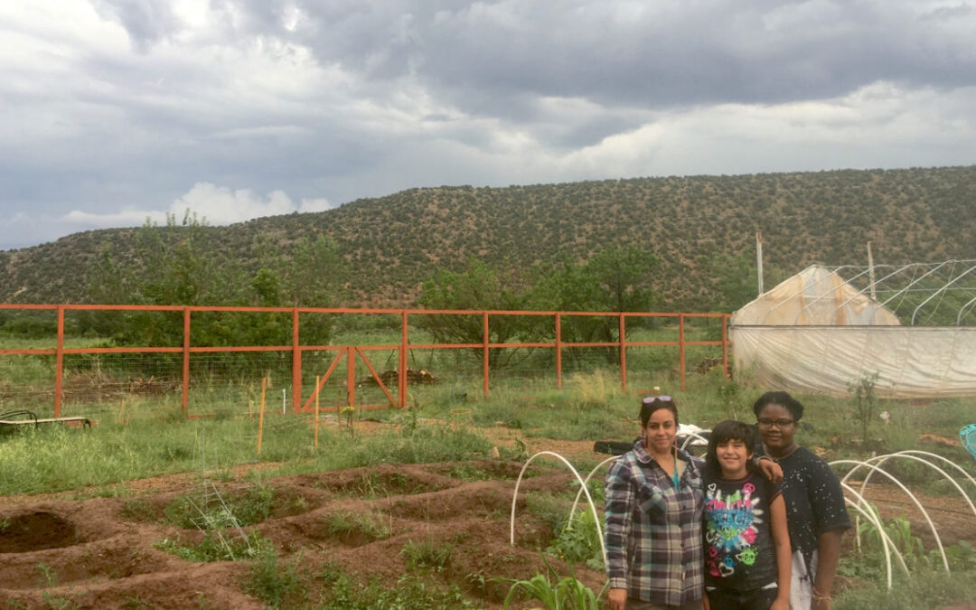 Local farms, small gardens see boost in interest, funding to tackle hunger