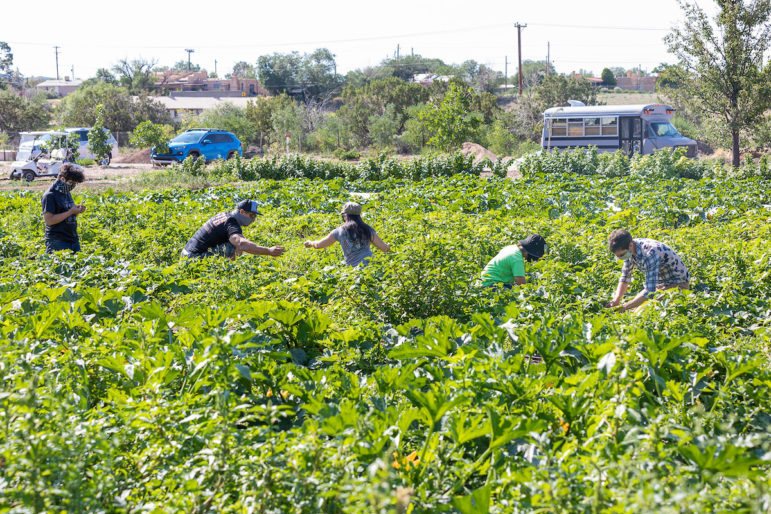 reunity farm - aflep.org