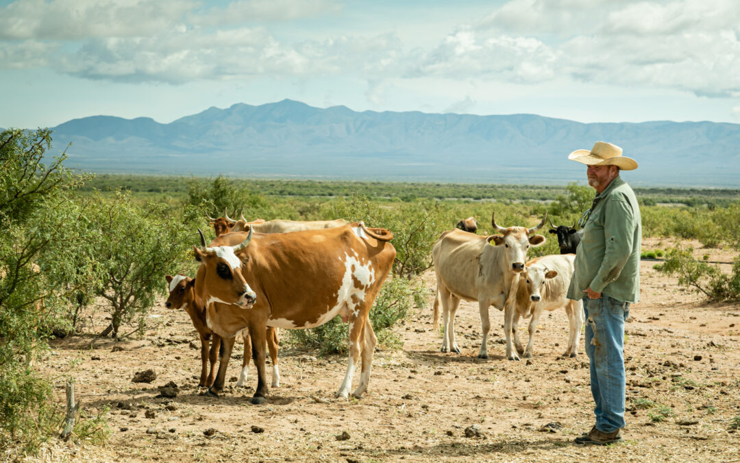 A State Public Bank: Investment in Local Communities in Post-Pandemic New Mexico