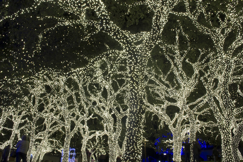 How Rural Electric Cooperatives Can Support a Green New Deal