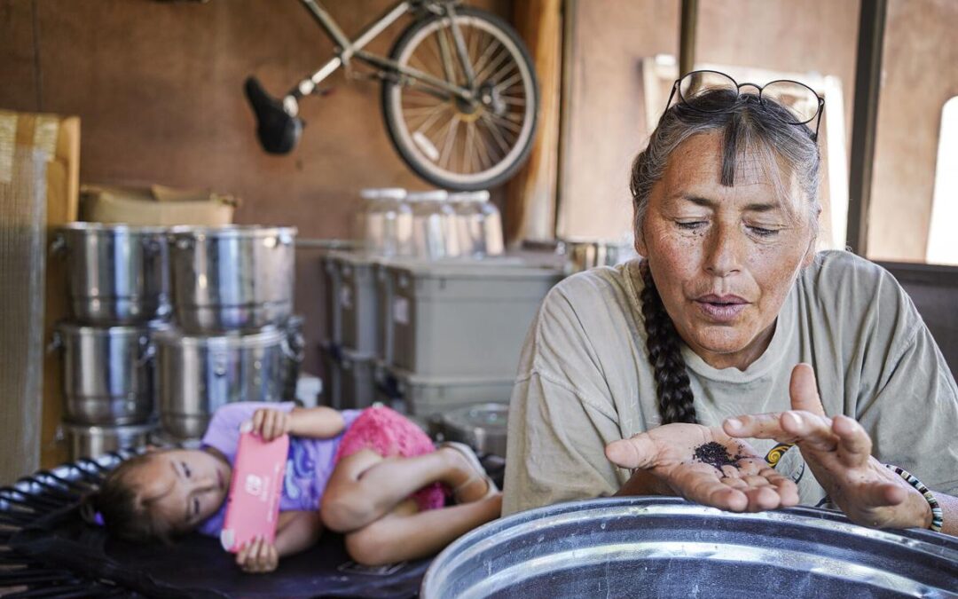 Reclaiming and expanding Native foodways in New Mexico, one seed at a time