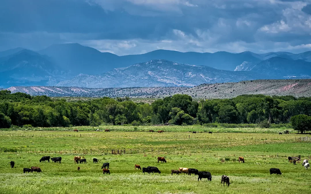 Advocates Hope New Mexico Bill Offers National Model For Frontier Equity