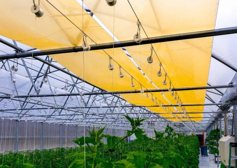 NM Awarded Grant to Help Small Businesses Cultivate Global Marketplace